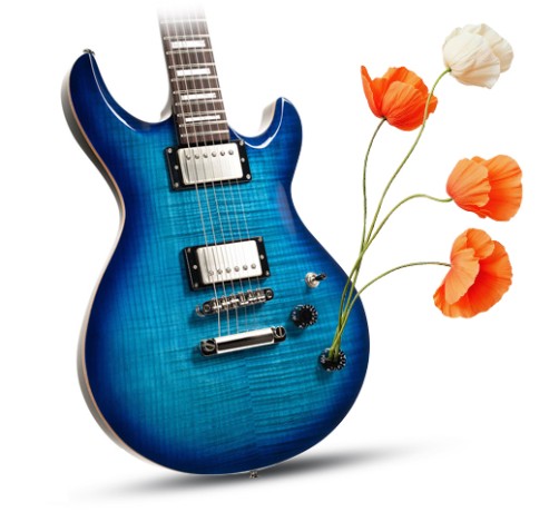 MAY YOUR SOUND BLOOM